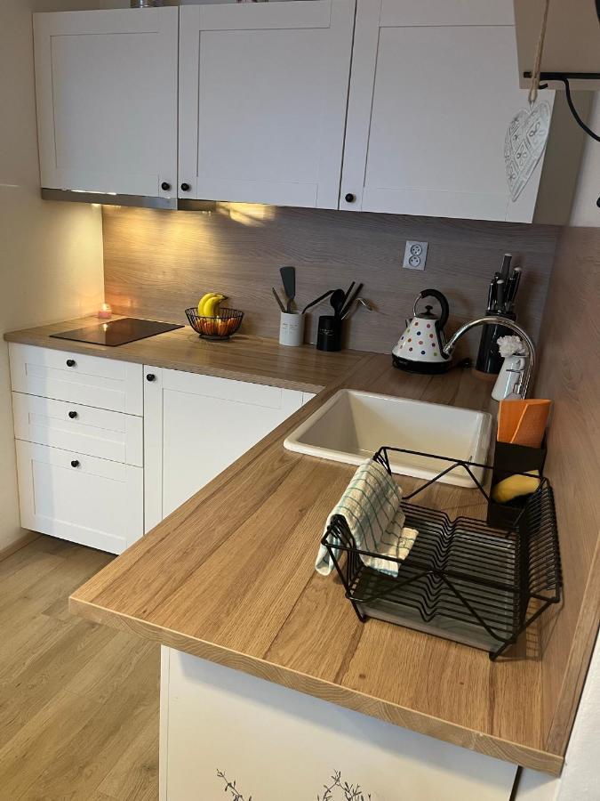 Utulny Apartman Na Dolni Morave Dolní Morava Eksteriør bilde